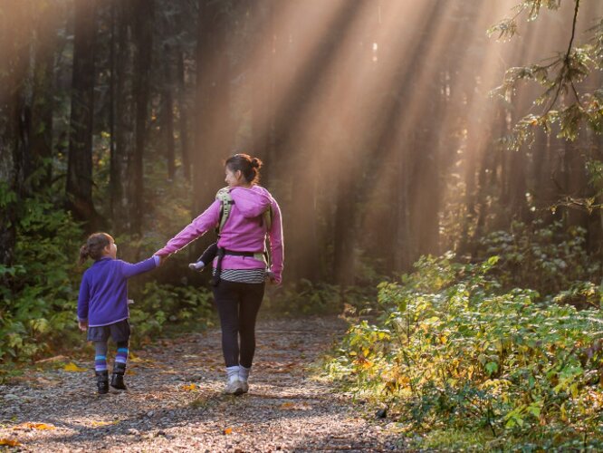 Wandeling in het bos zonder voetpijn dankzij podotherapie